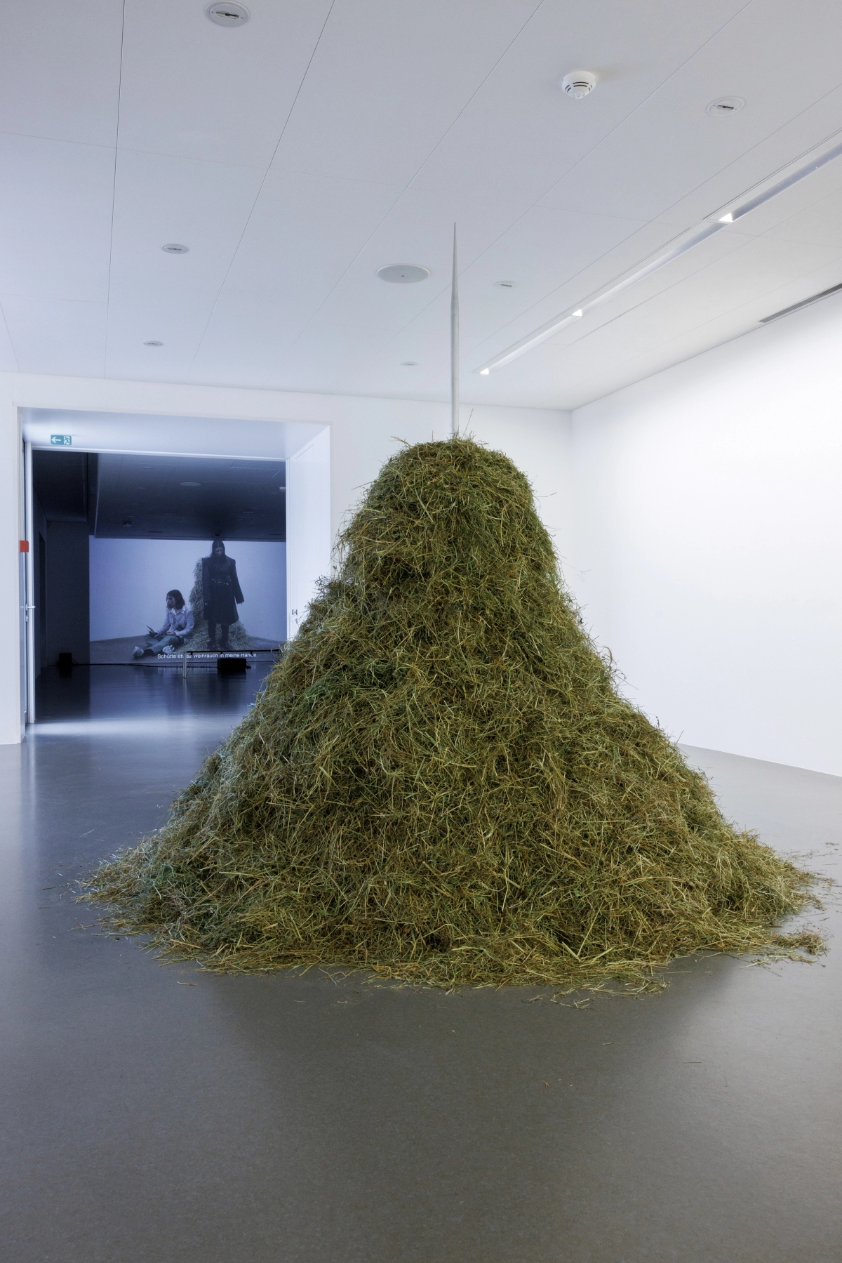 Death by Landscape - solo exhibition