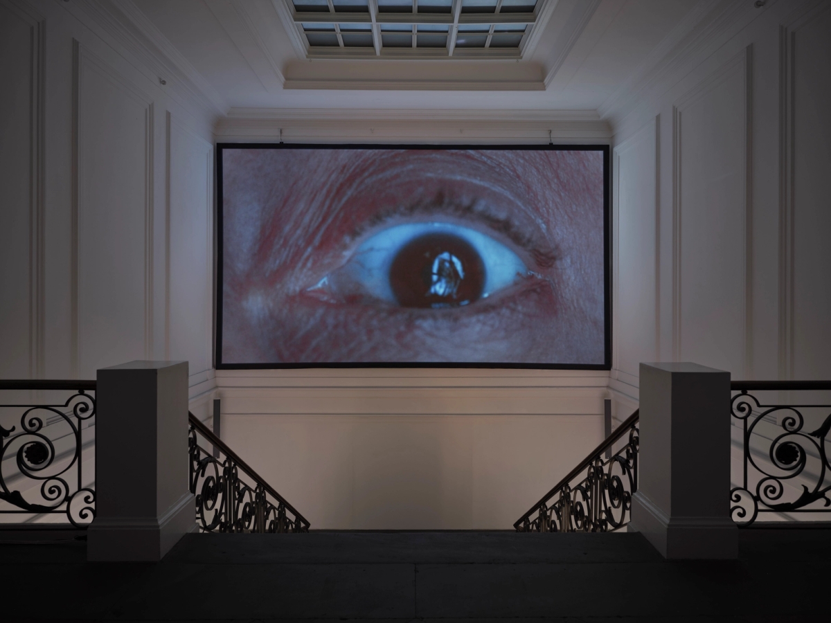 Dorota Gawęda & Eglė Kulbokaitė, Still life of a thistle between carnations and cornflowers on a mossy forest floor, 2020, installation view, in: Regionale 26, After the Afternoon, Kunsthalle Basel, 2025, photo: Philipp Hänger / Kunsthalle Basel