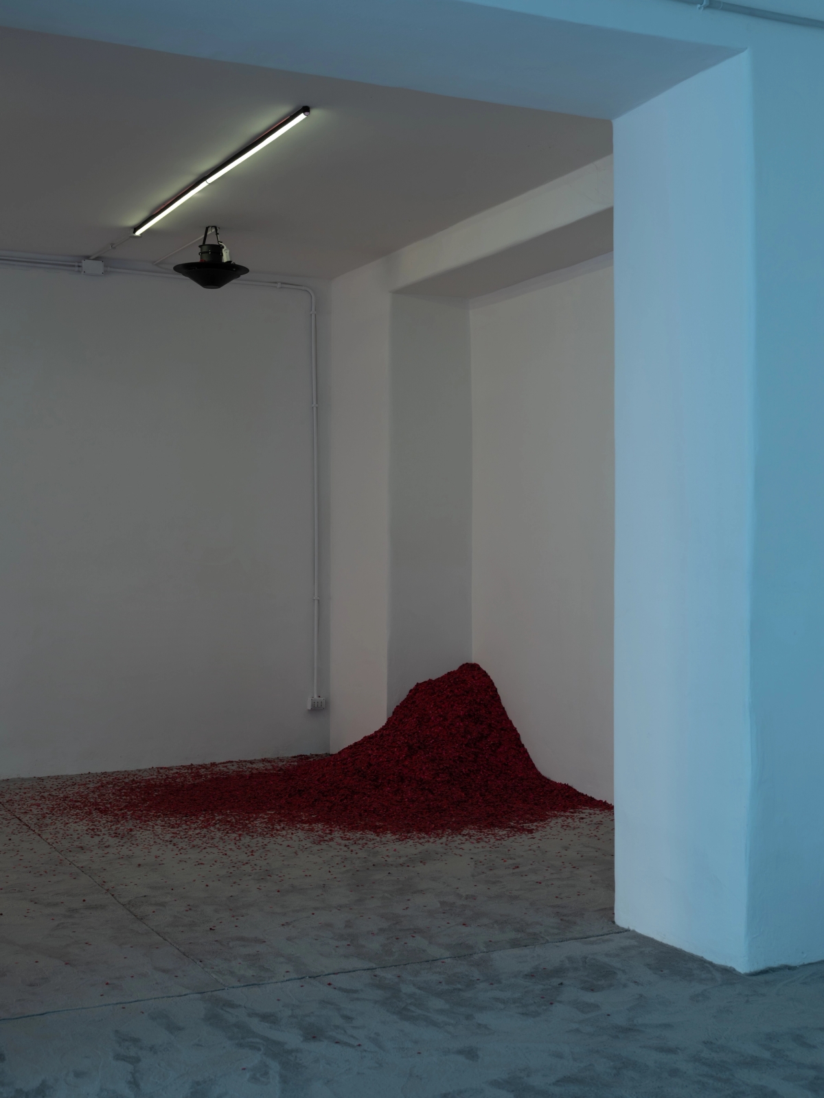 SPIT AND IMAGE, solo exhibition
