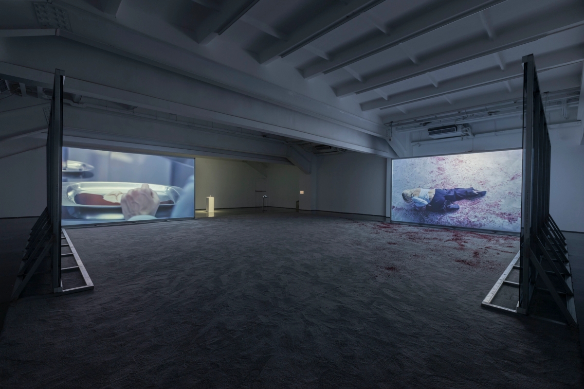 Spit and Image, installation view, MACA, 2025. Photo: Yang Hao