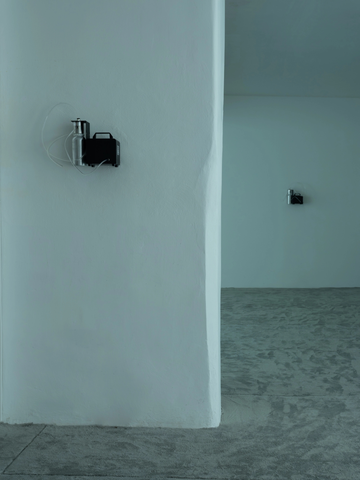SPIT AND IMAGE, solo exhibition