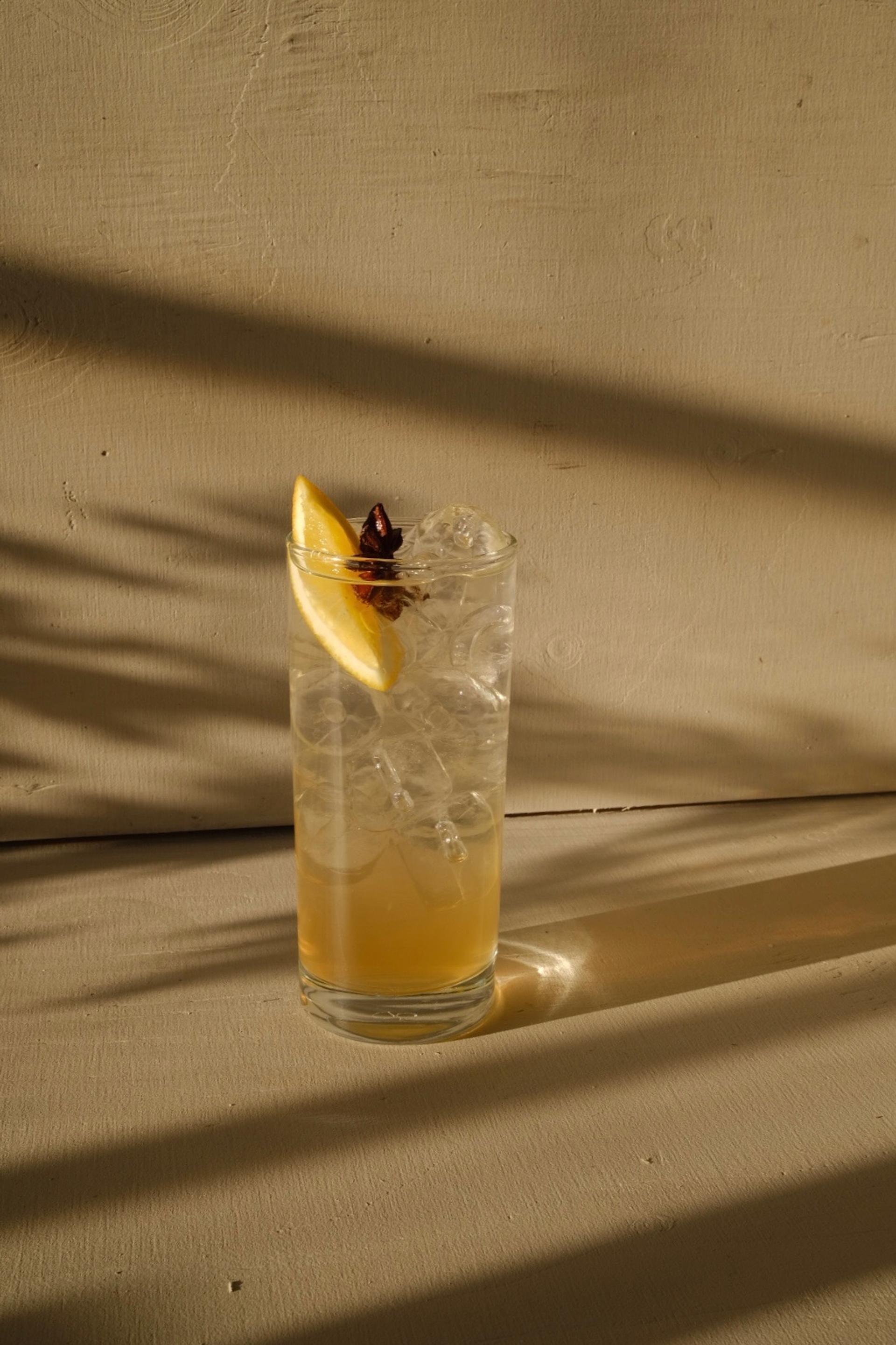 Bild på Skrea Glögg & Akvavit drink