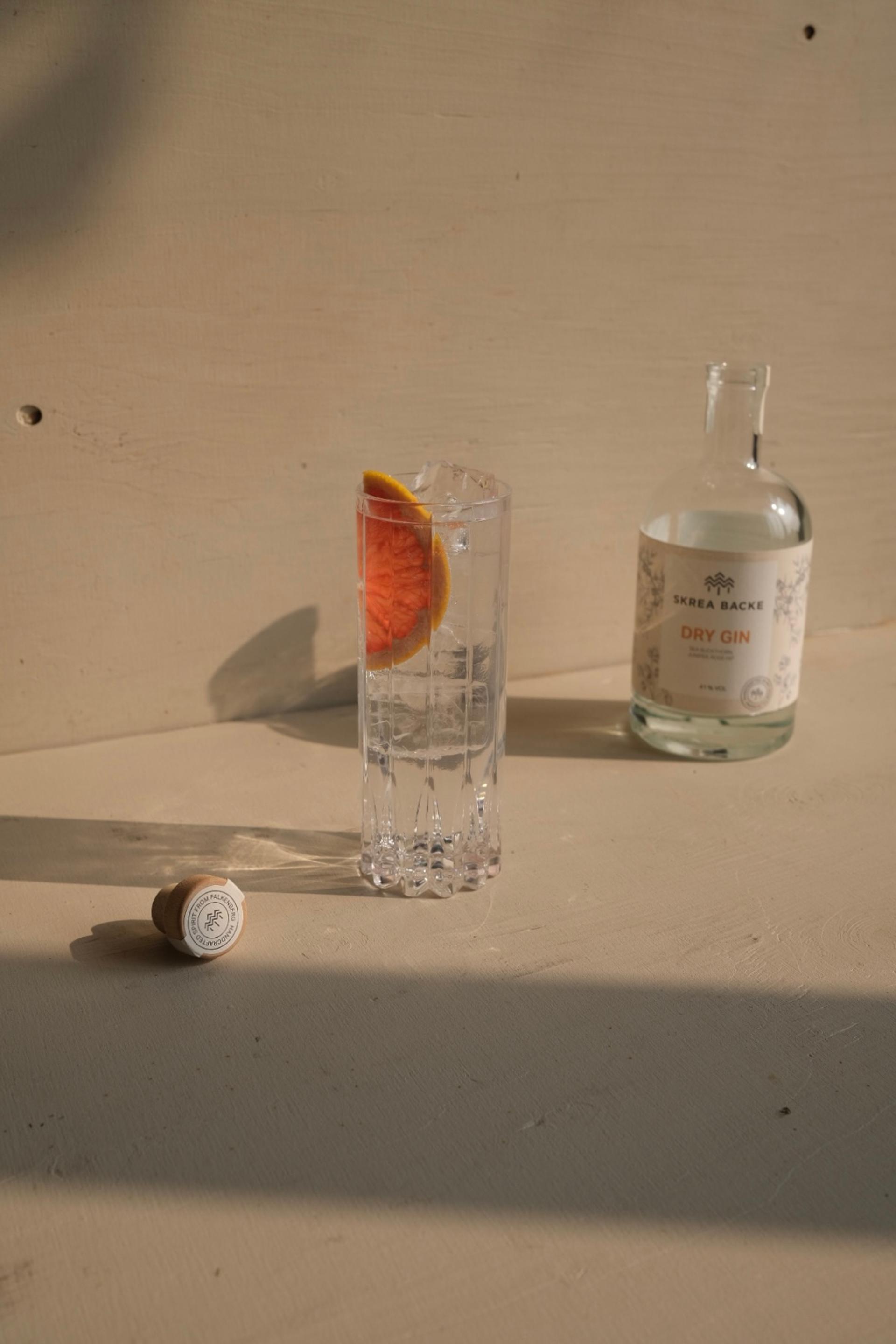 Bild på en gin och tonic med Skrea Backes Dry Gin och grapefrukt