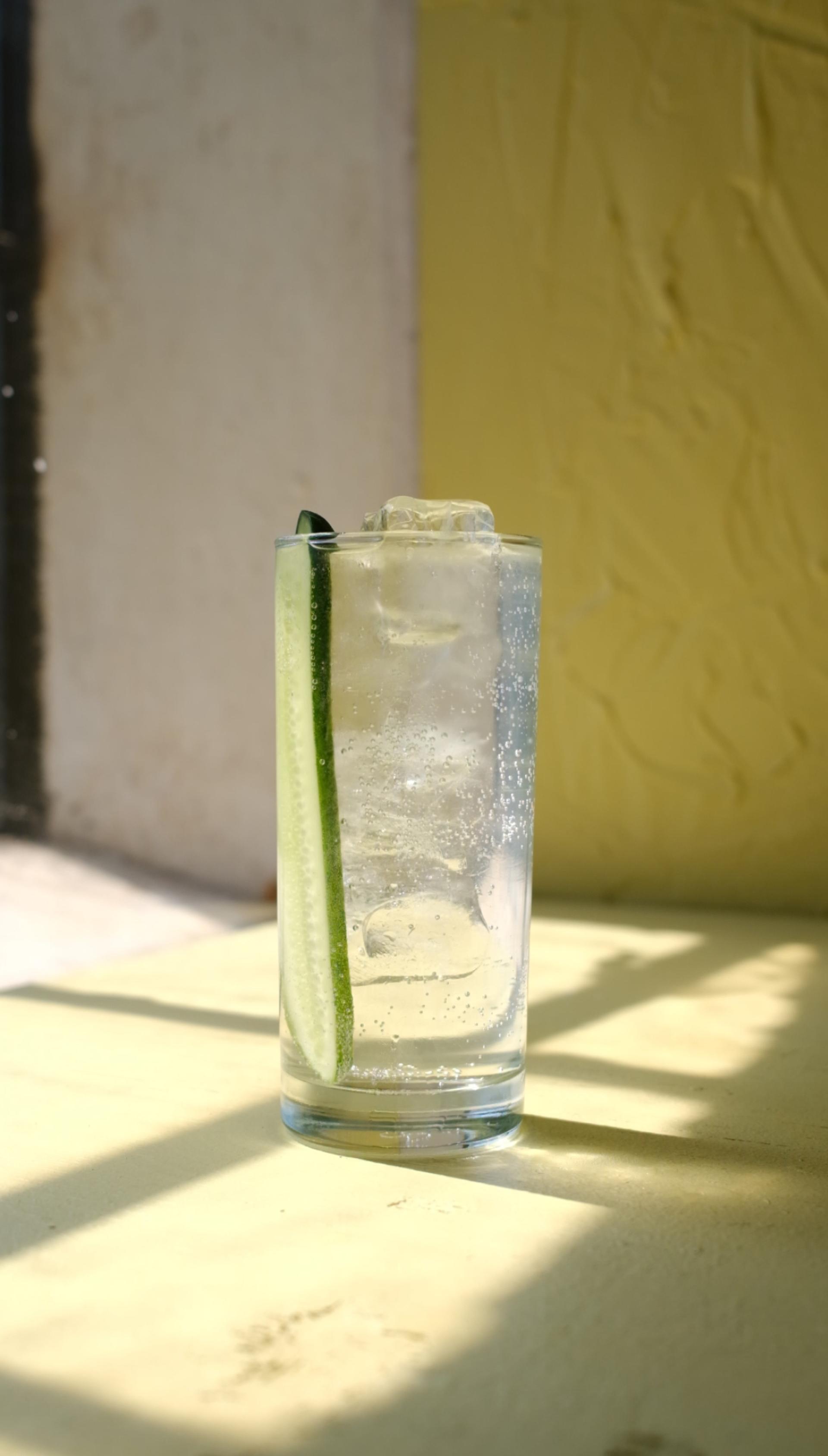 Bild på Skrea Gurk Gin & Tonic