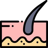 ski piel
