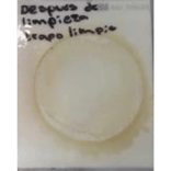 resultados-Cuenta-total-de-bacterias-2