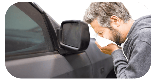 remover suciedad autos