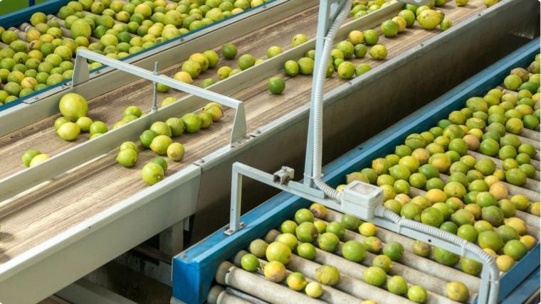 Cómo Mejoramos los Procesos de Limpieza en una Empacadora de Limón