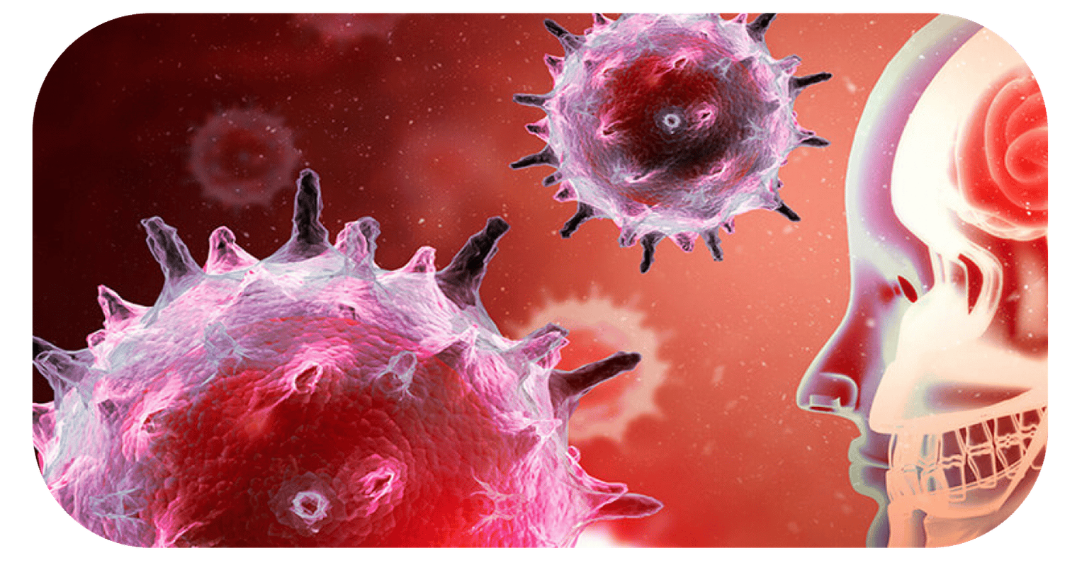 meningitis contaminacion biologica