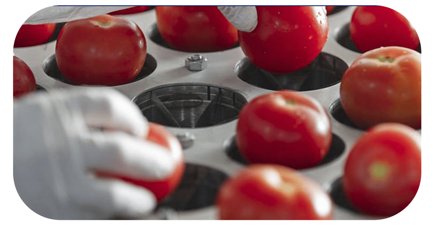 alimentos nsf
