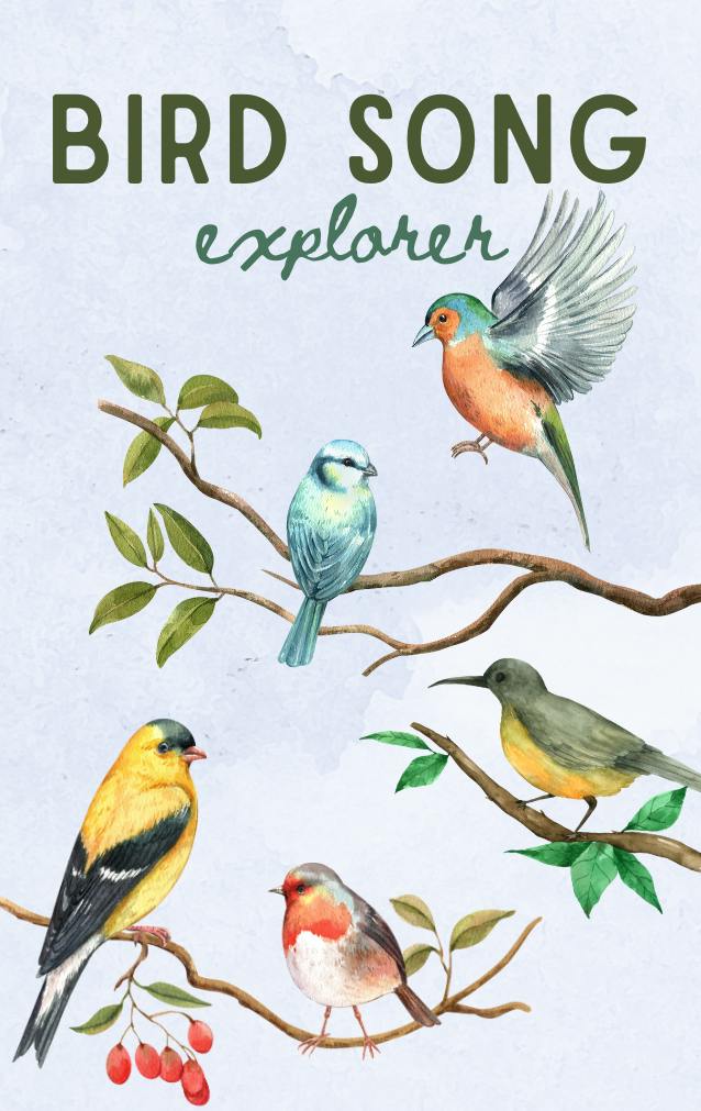 Bird Song Explorer artwork