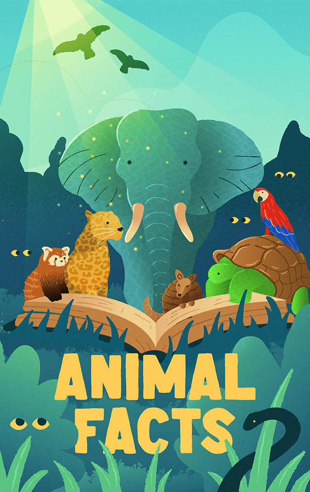 Animal Facts artwork
