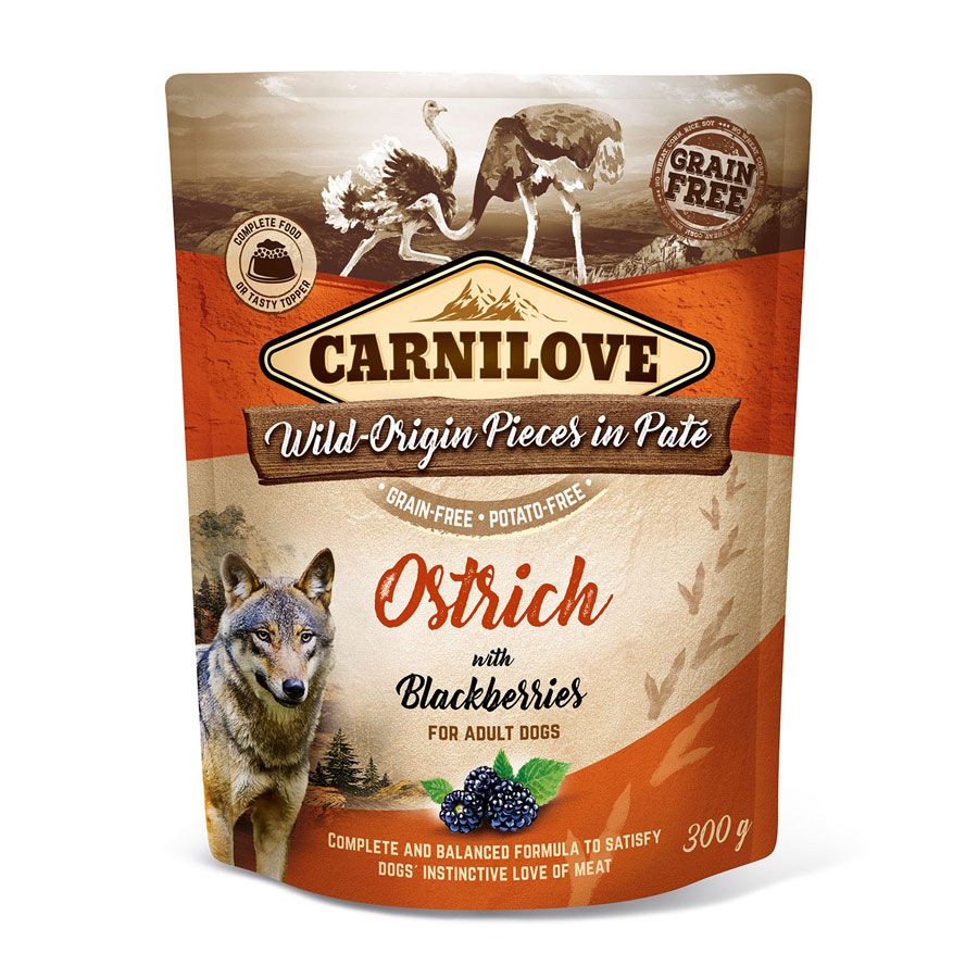 Dry Dog Food