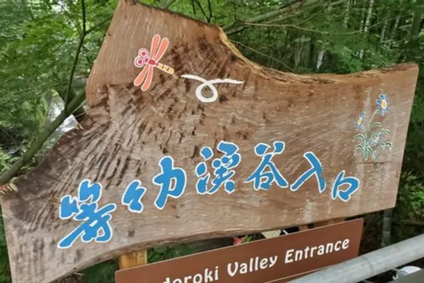 【都内で遊ぶ】等々力渓谷に行く