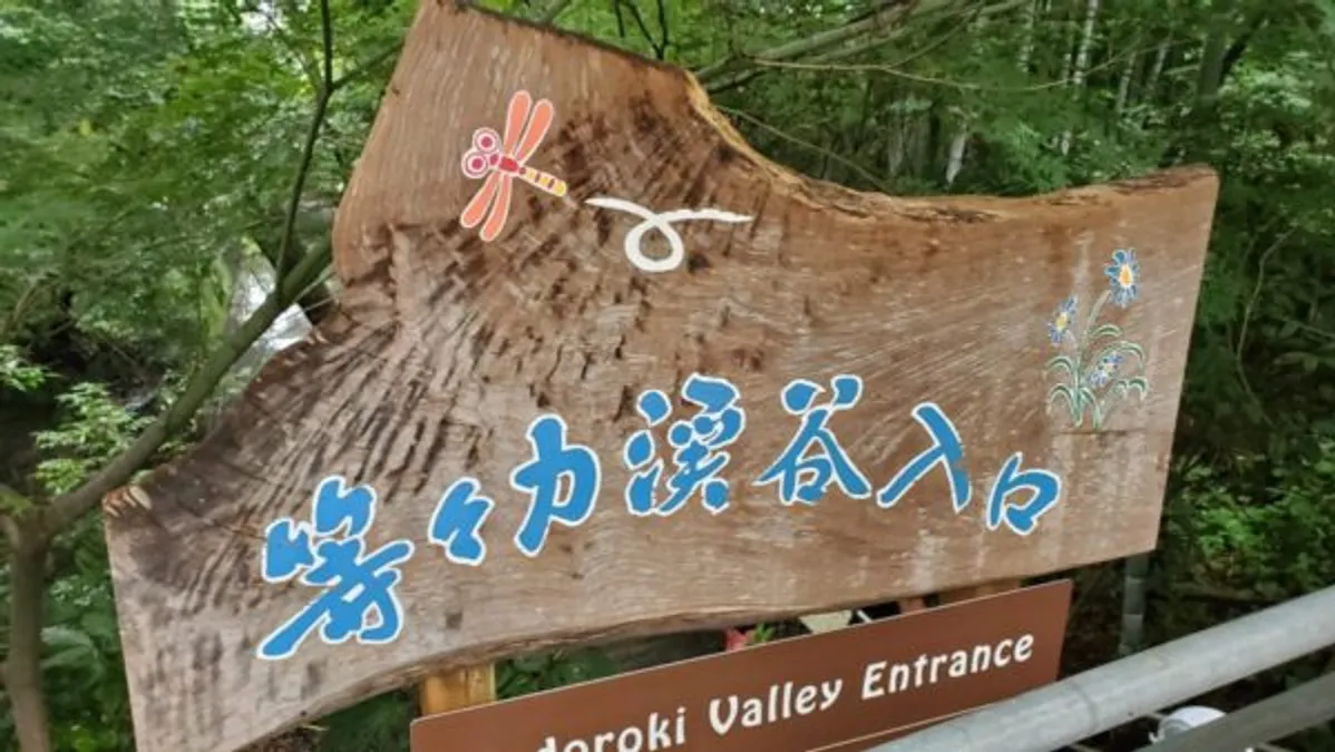 【都内で遊ぶ】等々力渓谷に行く
