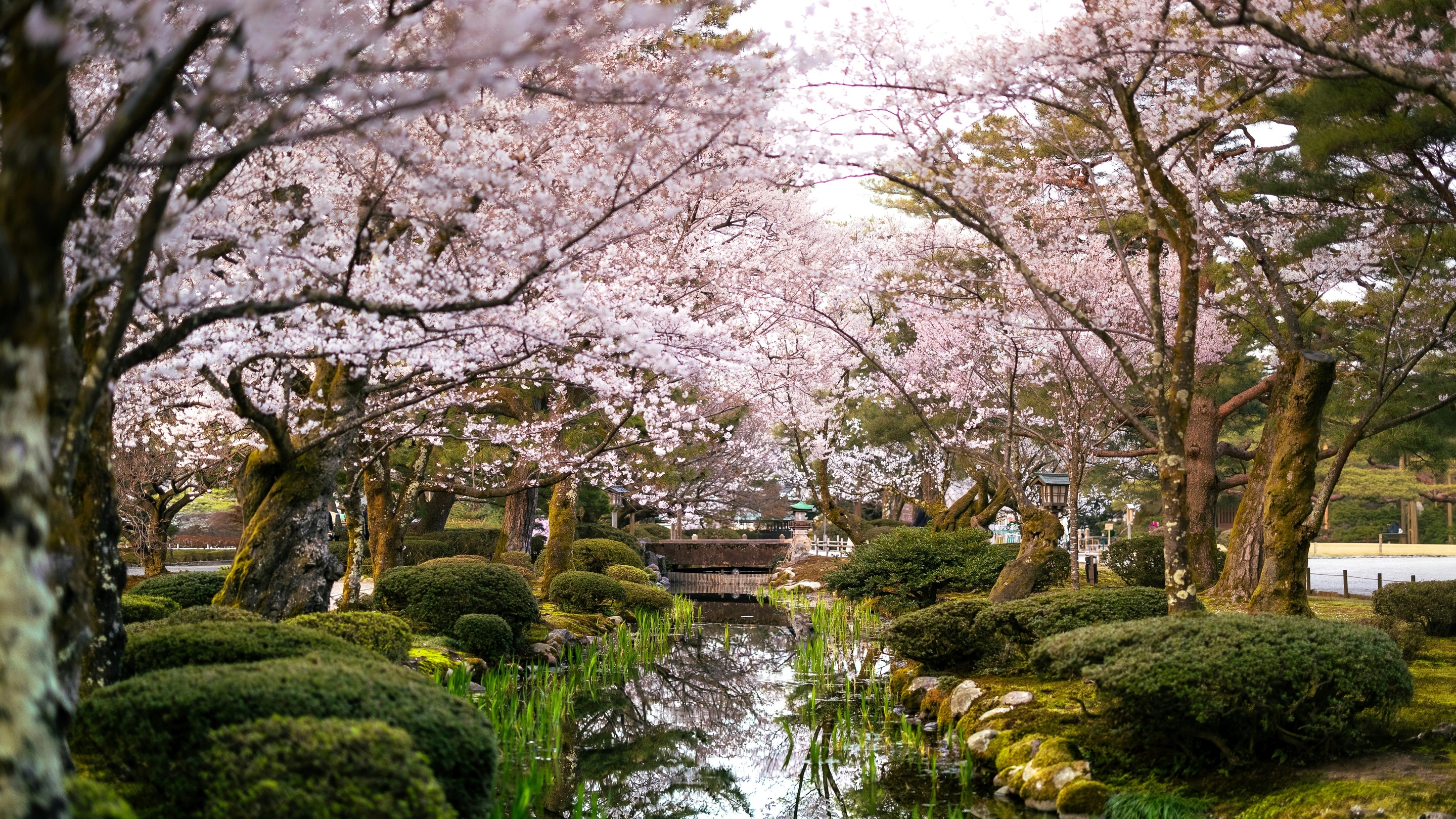 Garden in Kanazawa, Japan