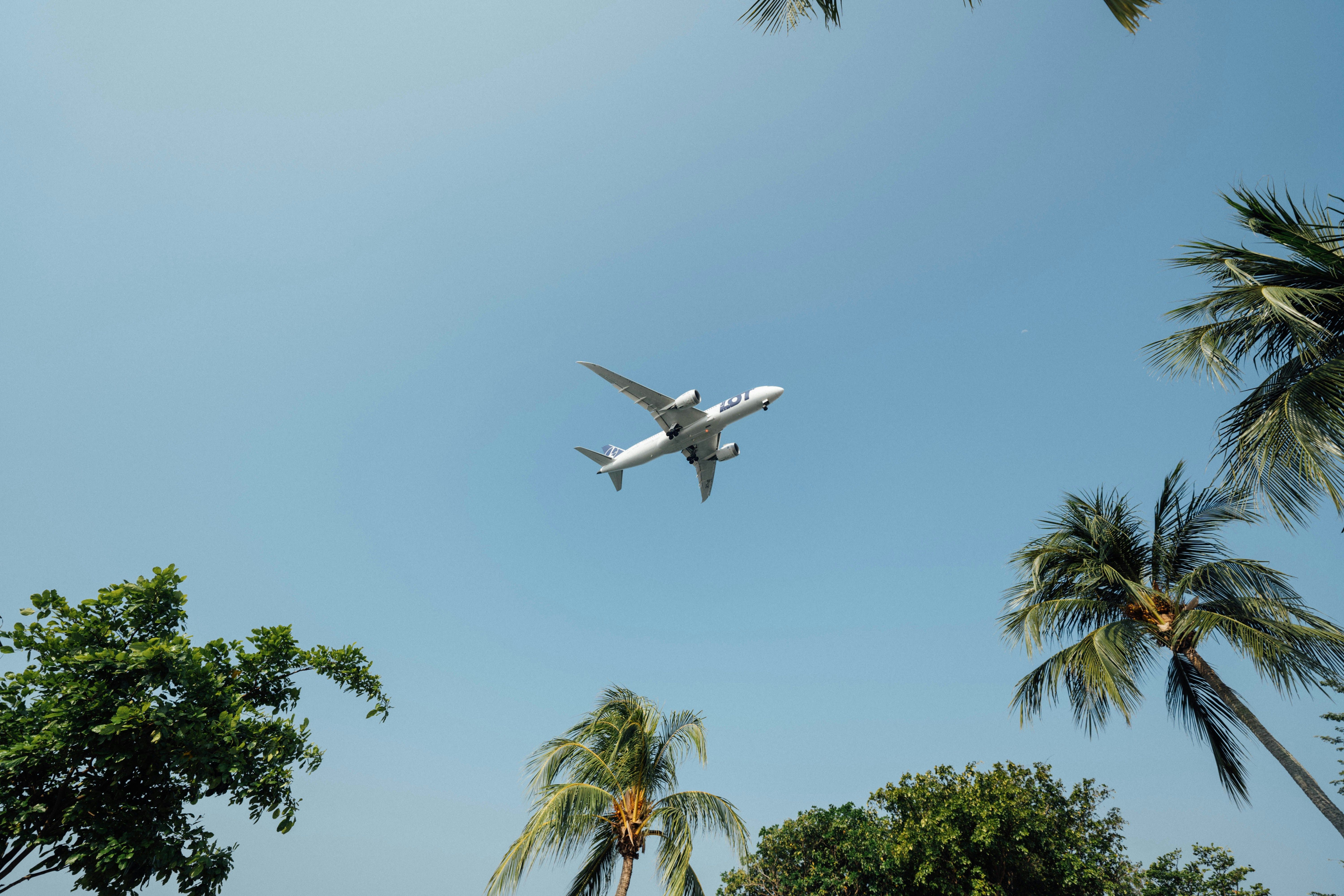 Jet flying over palmtrees