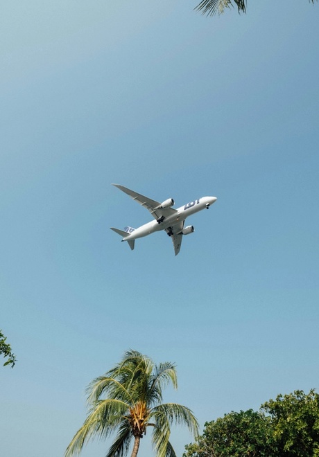 Jet flying over palmtrees