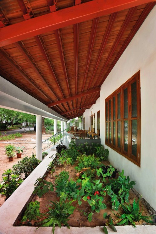 House with verandah and plants