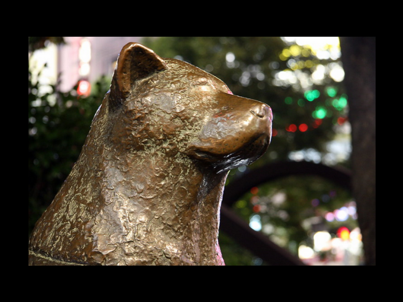 A side view of the Hachiko memorial statue