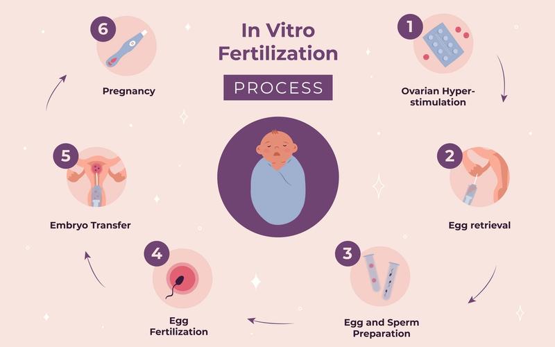 ivf journey