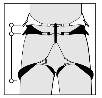 ライズ図