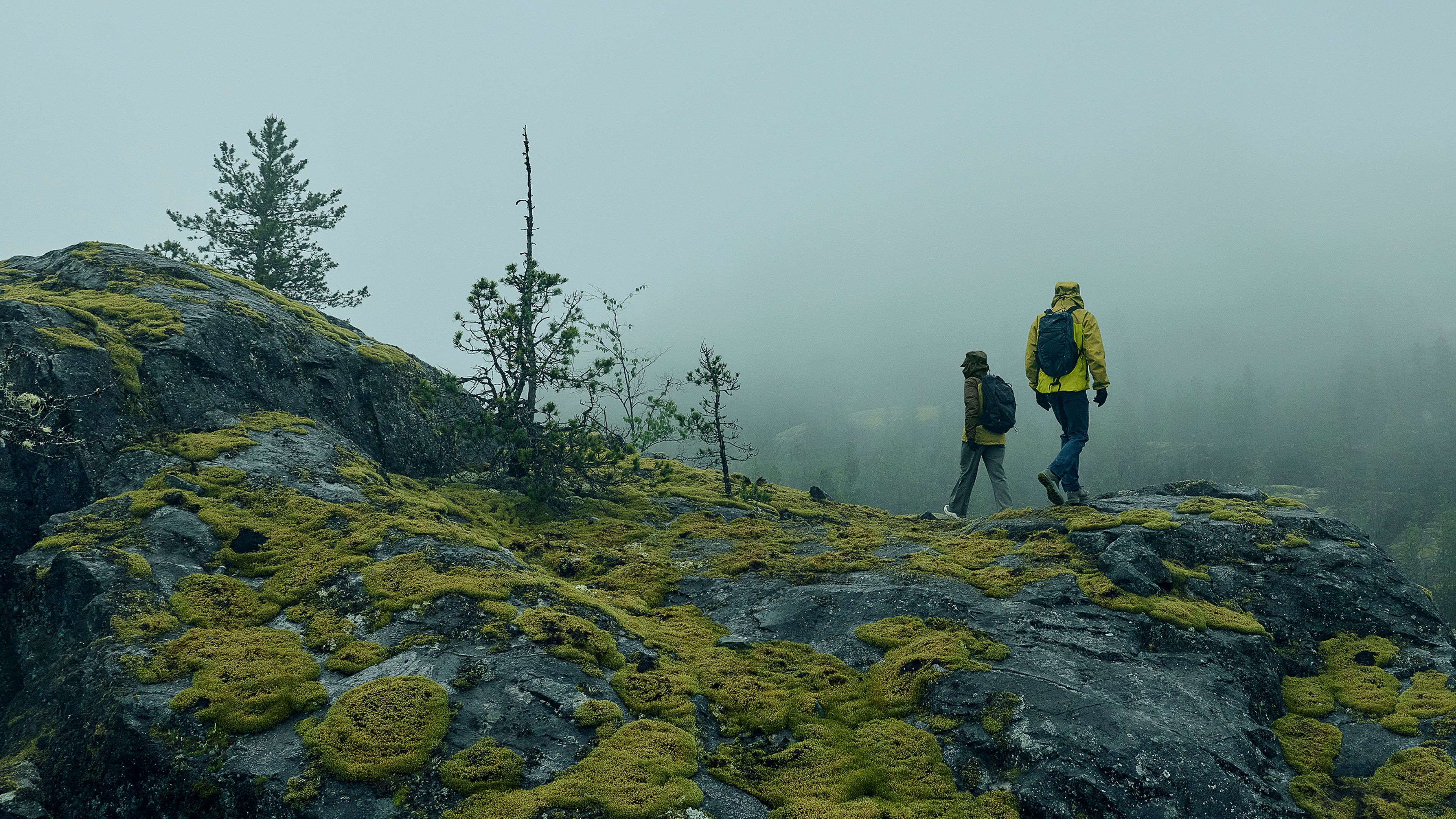 Two hikers walk on a mossy, rocky landscape under a foggy sky.