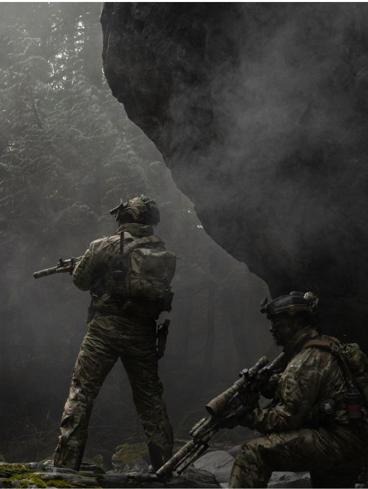 Two camouflaged soldiers in a misty, rocky forest, one standing with a rifle, one crouching with a sniper rifle.