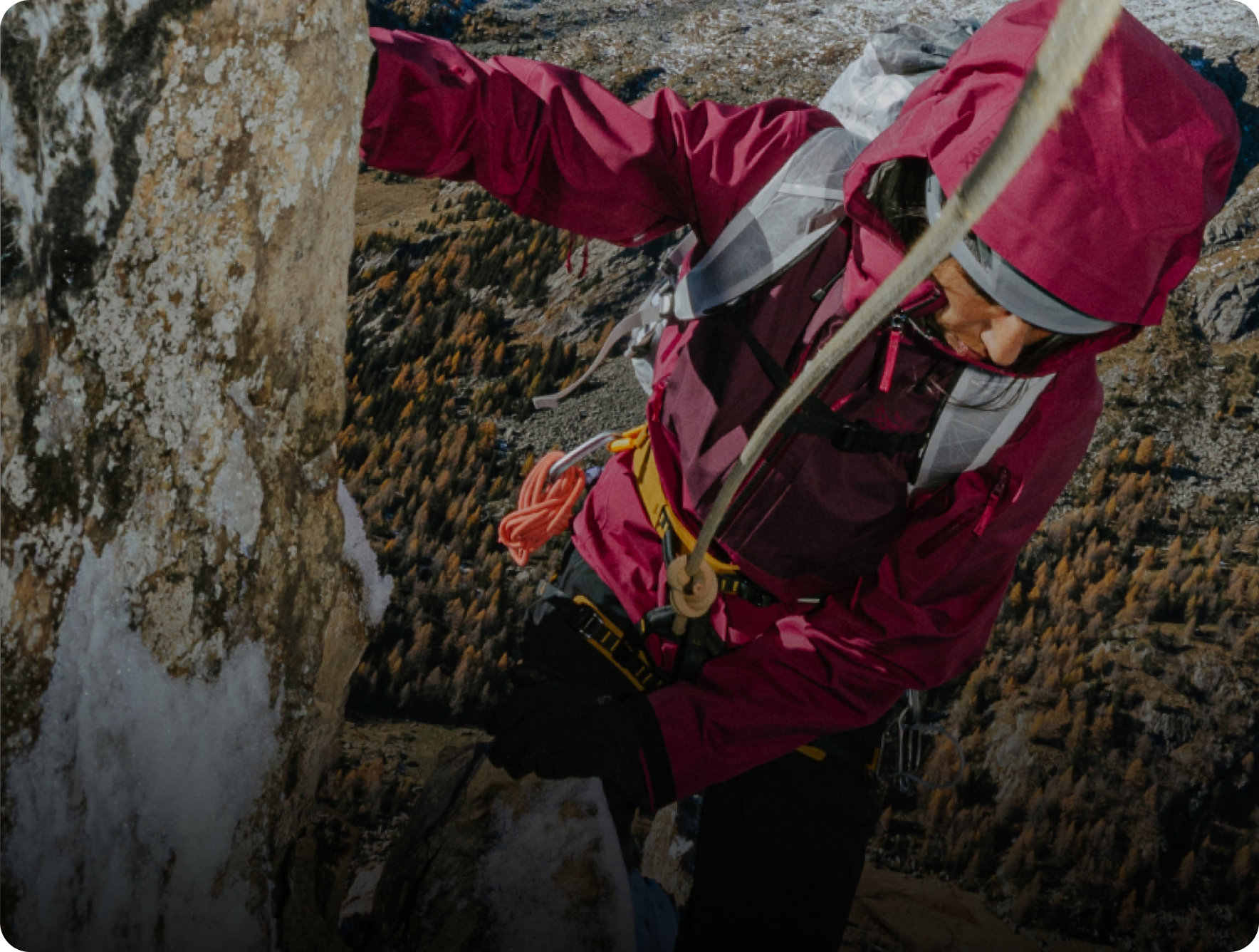 A person in a pink jacket rappelling down a rock face with a forest in the background.