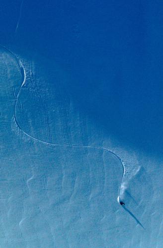 A dark seal on blue ice, leaving a winding track and casting a long shadow.