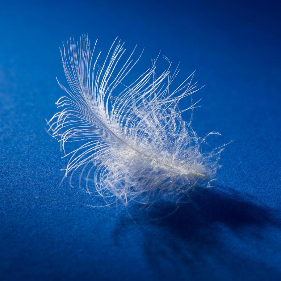 a white feather is floating in the air on a blue surface