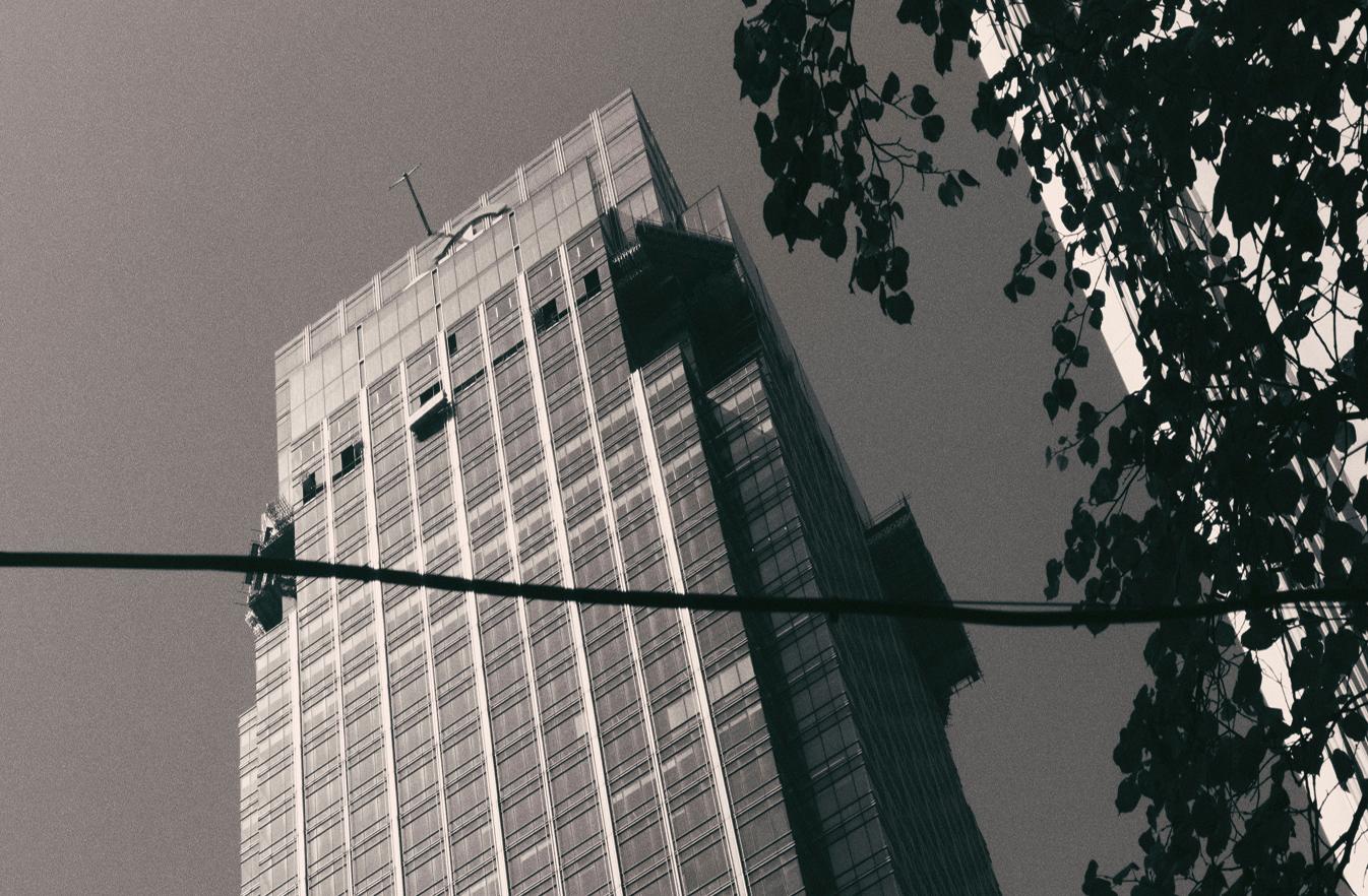 Black and white low-angle view of a skyscraper with dark tree branches and a horizontal cable.