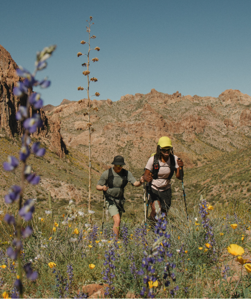 Two hikers walk through a field of purple and yellow wildflowers in a desert mountain landscape.