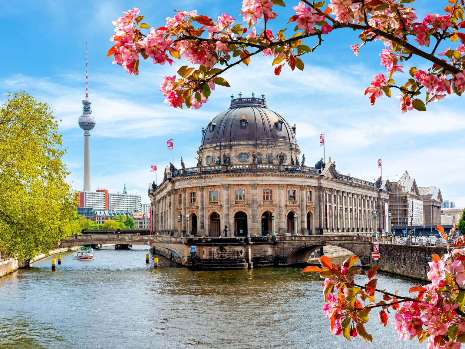 Vue printanière du musée Bode à Berlin, avec la rivière Spree, la tour de télévision Fernsehturm et des fleurs roses.