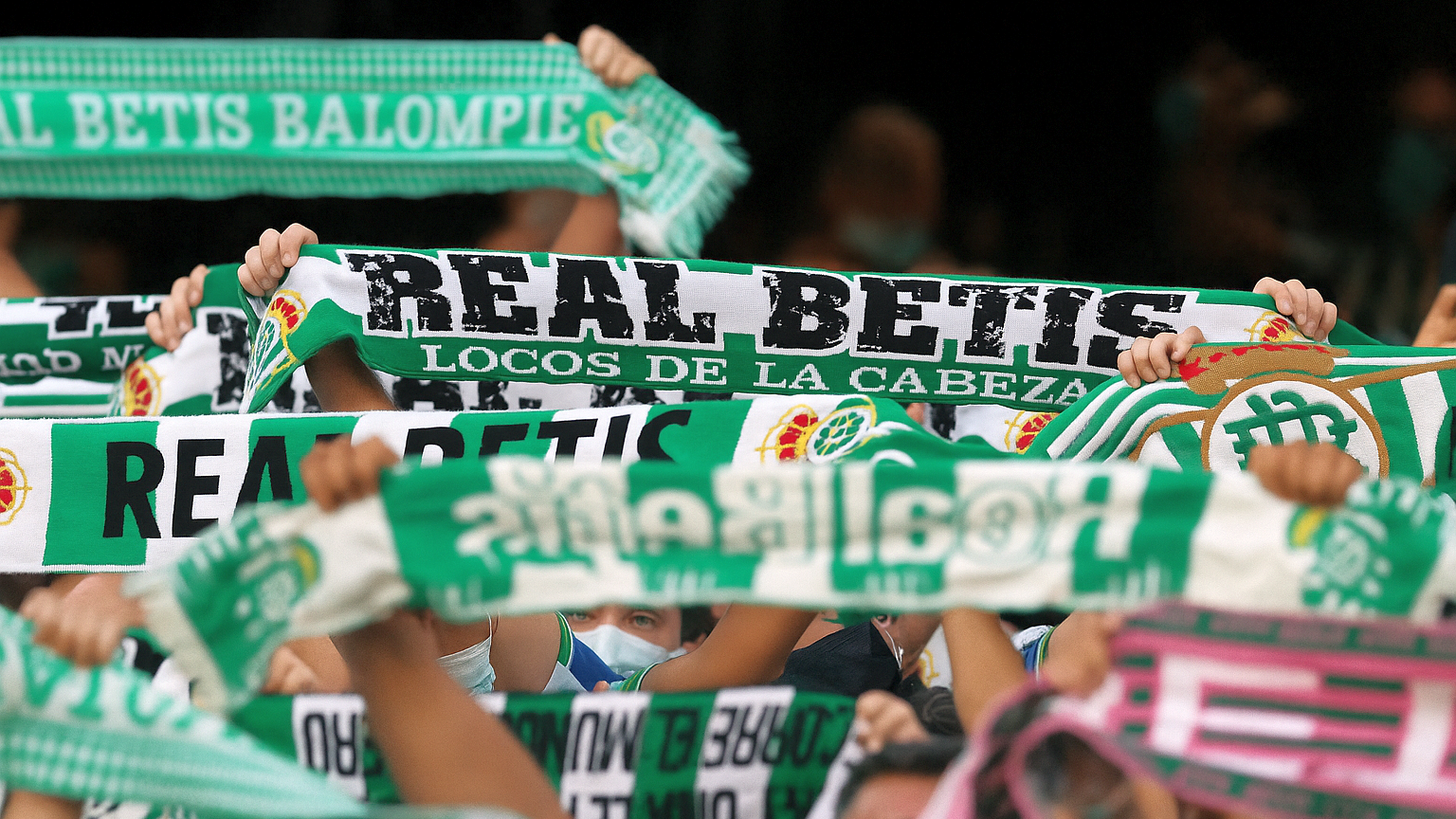 Football fans holding up green and white Real Betis scarves.