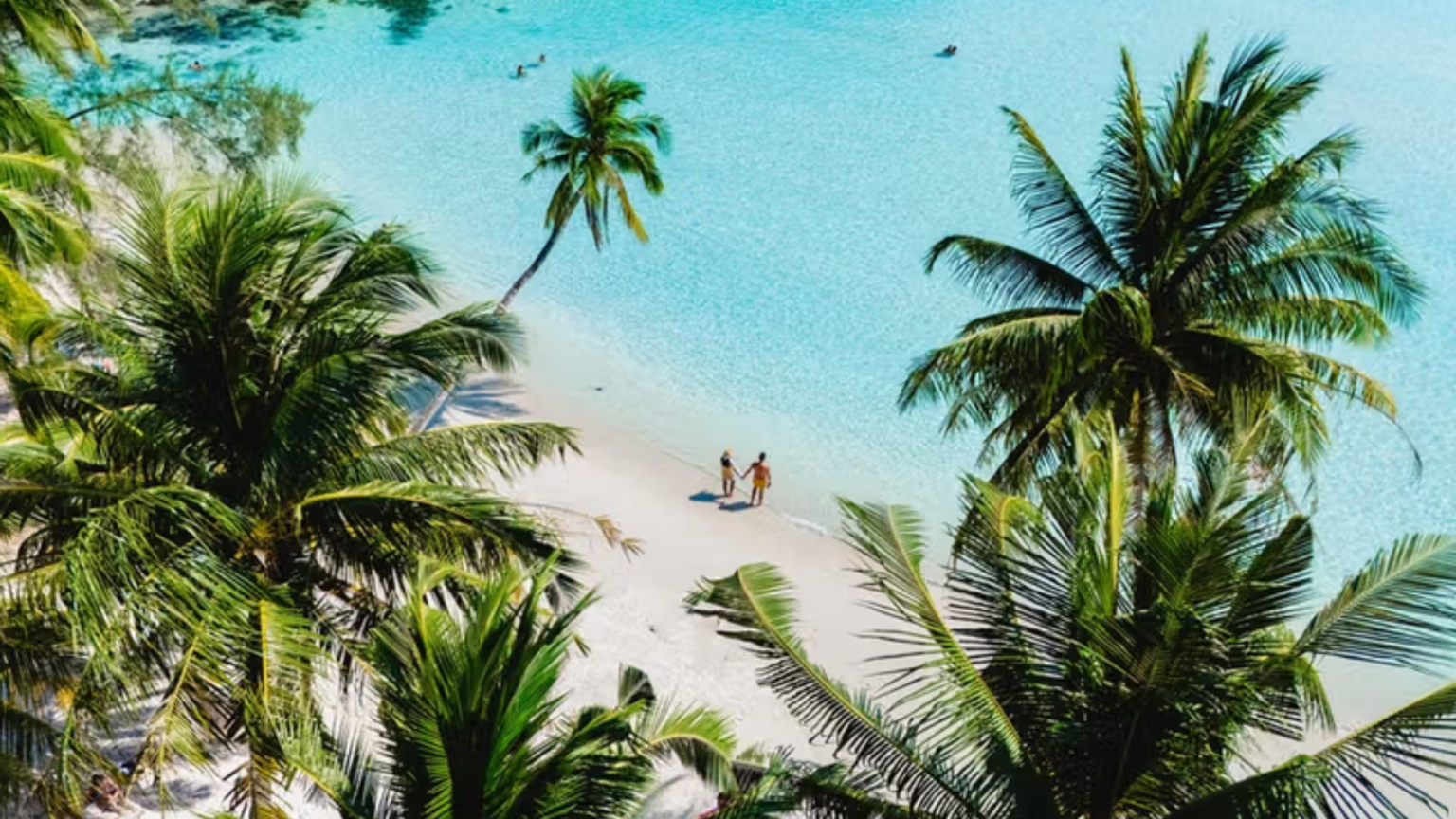 Aerial view of a couple holding hands on a white sand beach next to turquoise water, framed by palm trees.