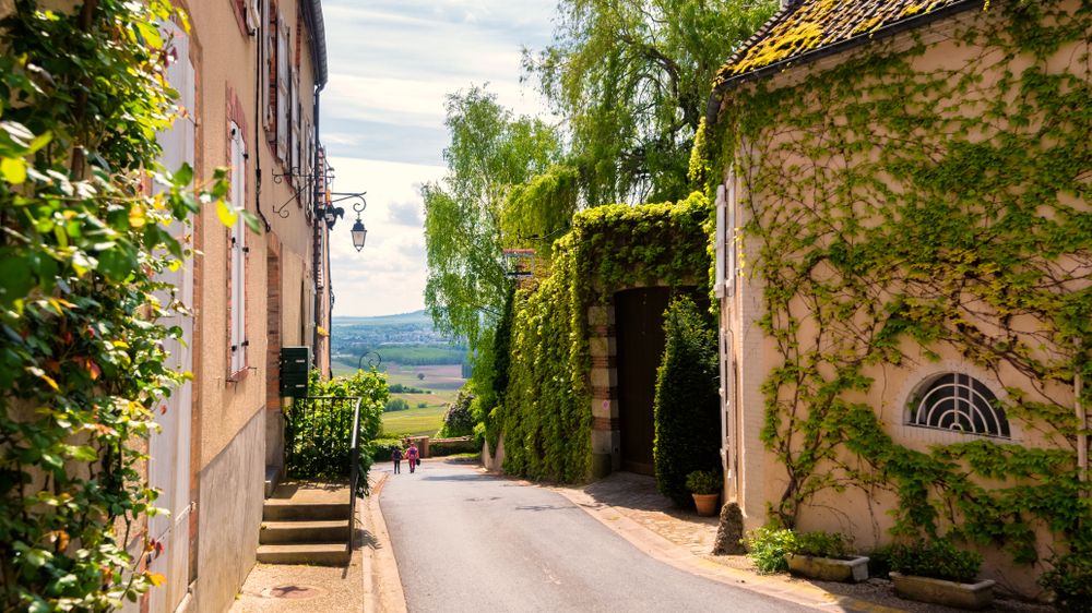 Edificios cubiertos de hiedra bordean una encantadora calle de pueblo con vistas a un valle verde. Región de Champaña, Francia