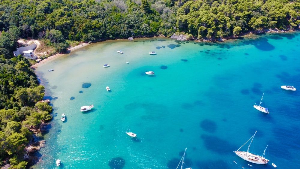 Luftfoto af en klar turkis bugt med mange både forankret ud for en frodig grøn kystlinje. Uvala Kostanj, Zadar, Kroatien
