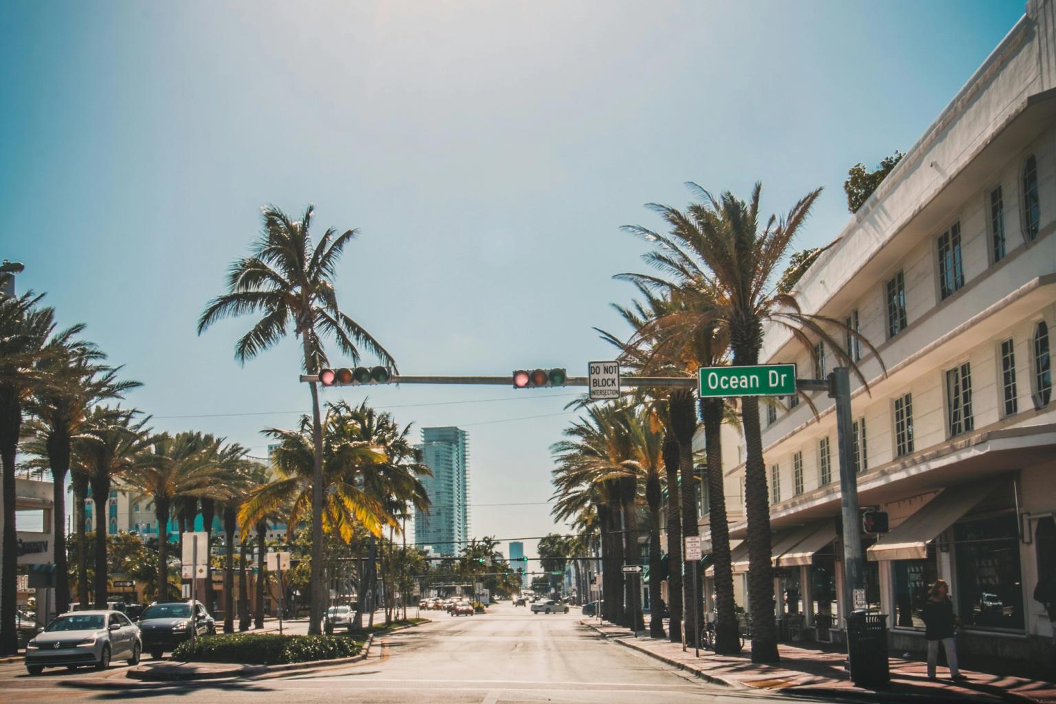 en tom gata med palmträd och en skylt som säger ocean dr.
