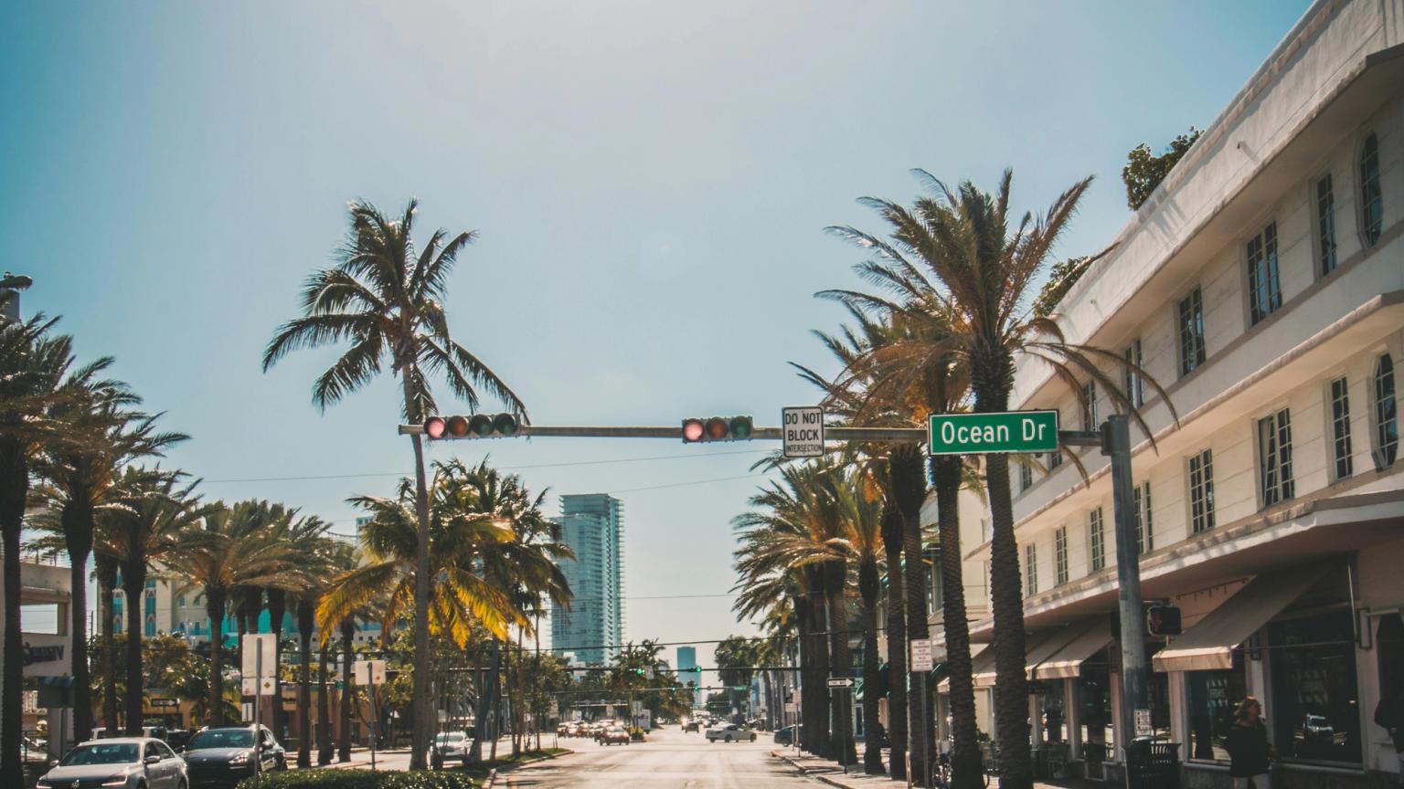 en tom gata med palmträd och en skylt som säger ocean dr.