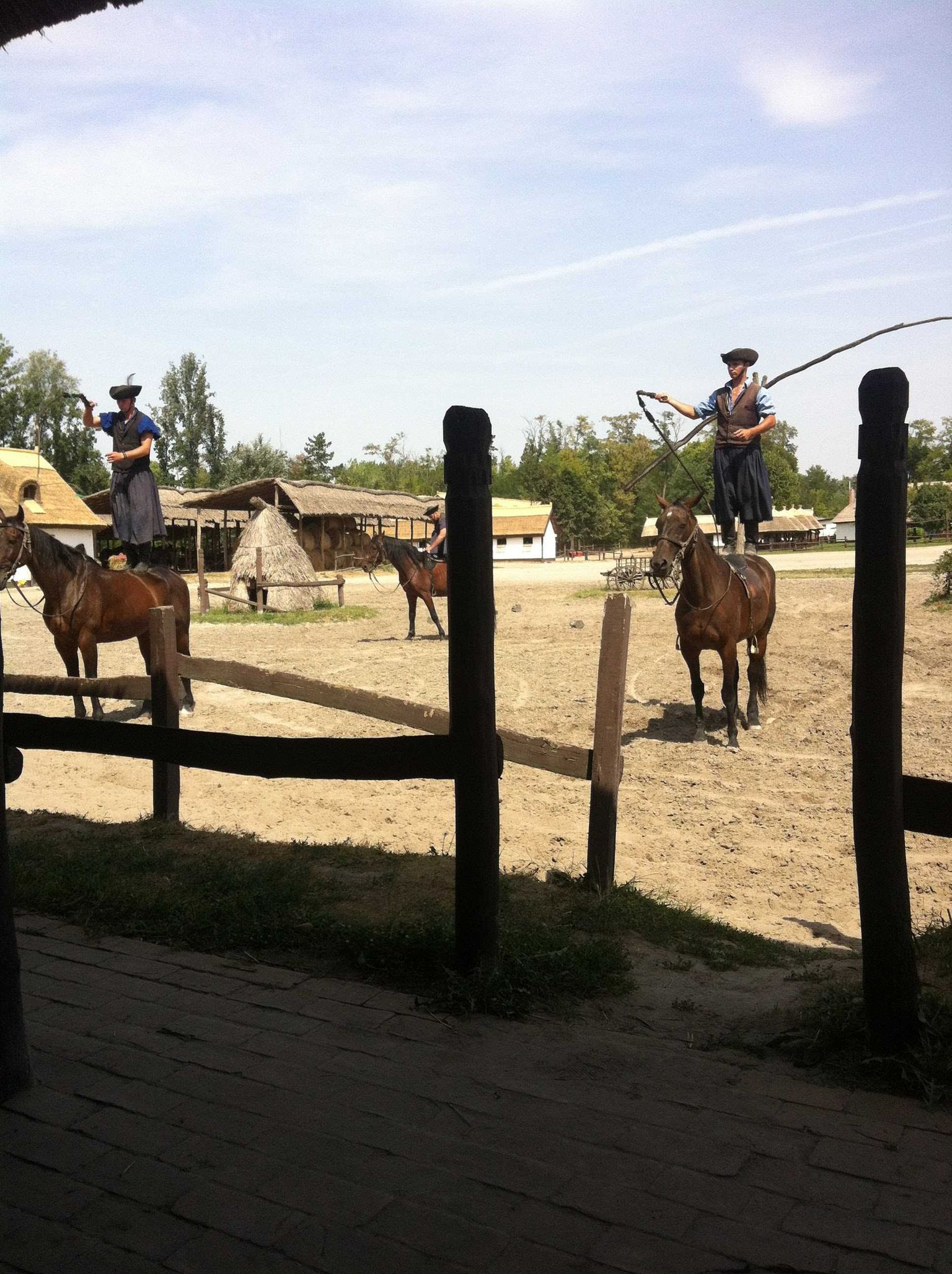 en man rider en häst med en lasso i handen