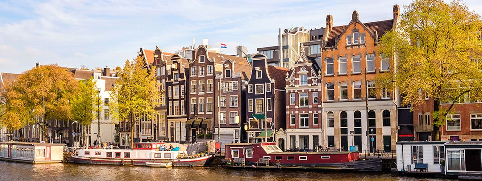 en haug med rosa og røde tulipaner foran en kanal i amsterdam