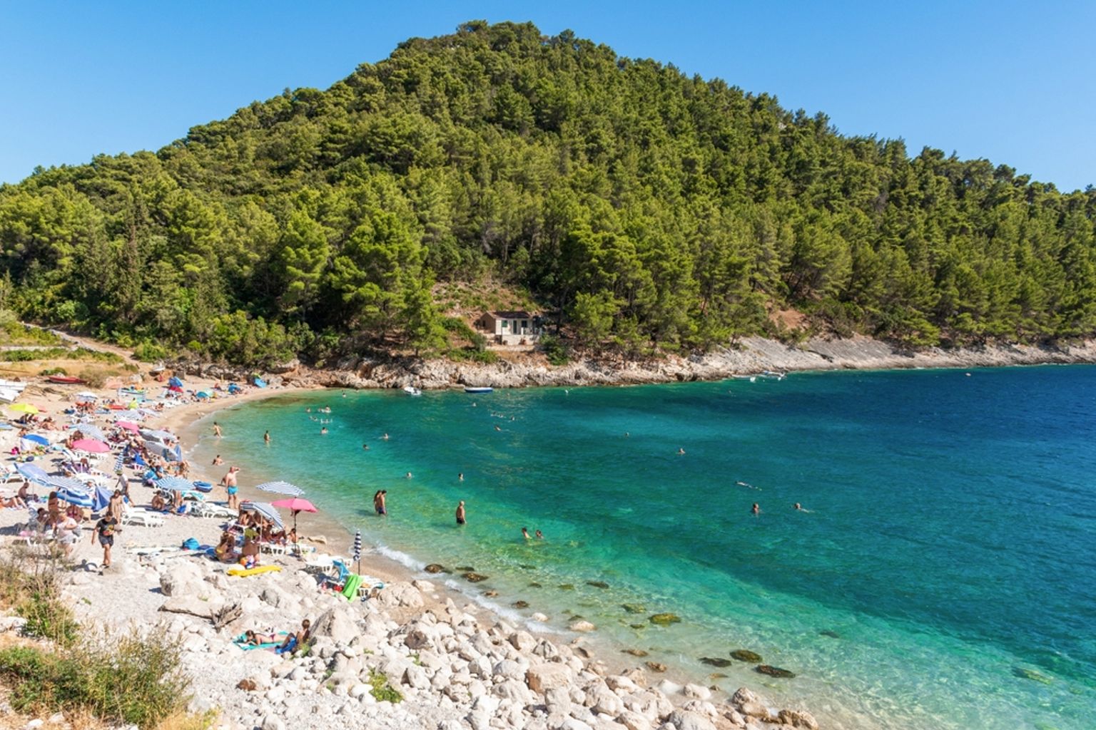 En solrig, stenet strand med mennesker, der svømmer i klart turkis vand og solbader, omgivet af en grøn skovklædt bakke. Korčula, Kroatien