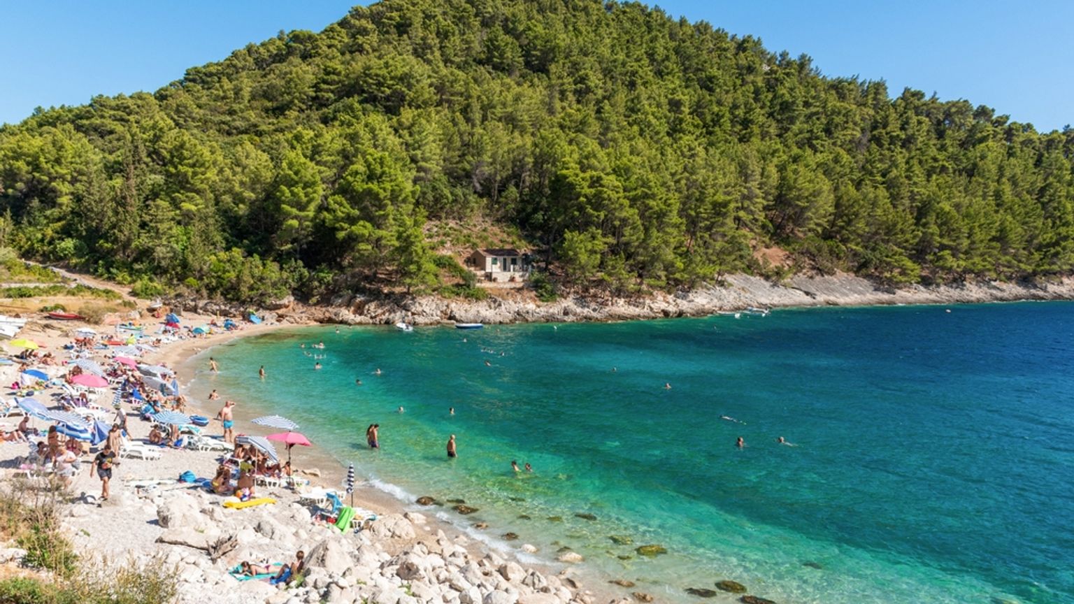 En solrig, stenet strand med mennesker, der svømmer i klart turkis vand og solbader, omgivet af en grøn skovklædt bakke. Korčula, Kroatien