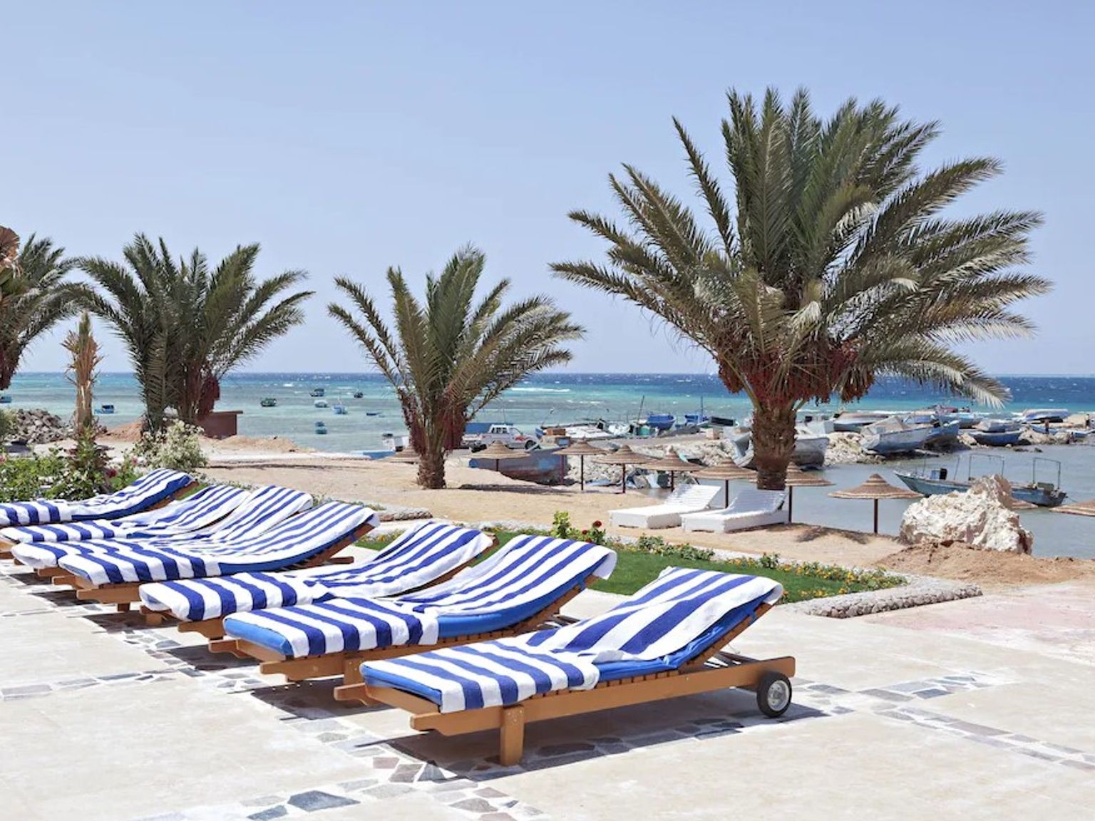 en rad av blå och vit randiga lounge stolar på en strand bredvid palmträd