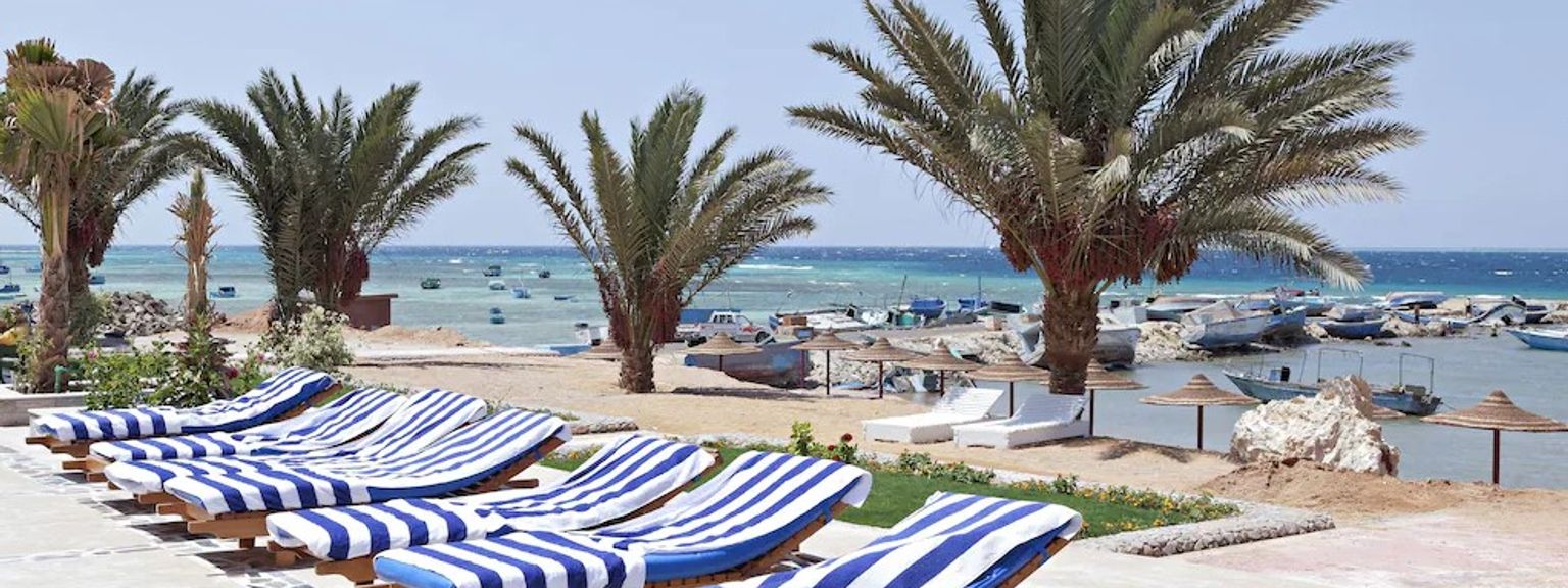 en rad med blå og hvite stripete lounge stoler på en strand ved siden av palmetrær