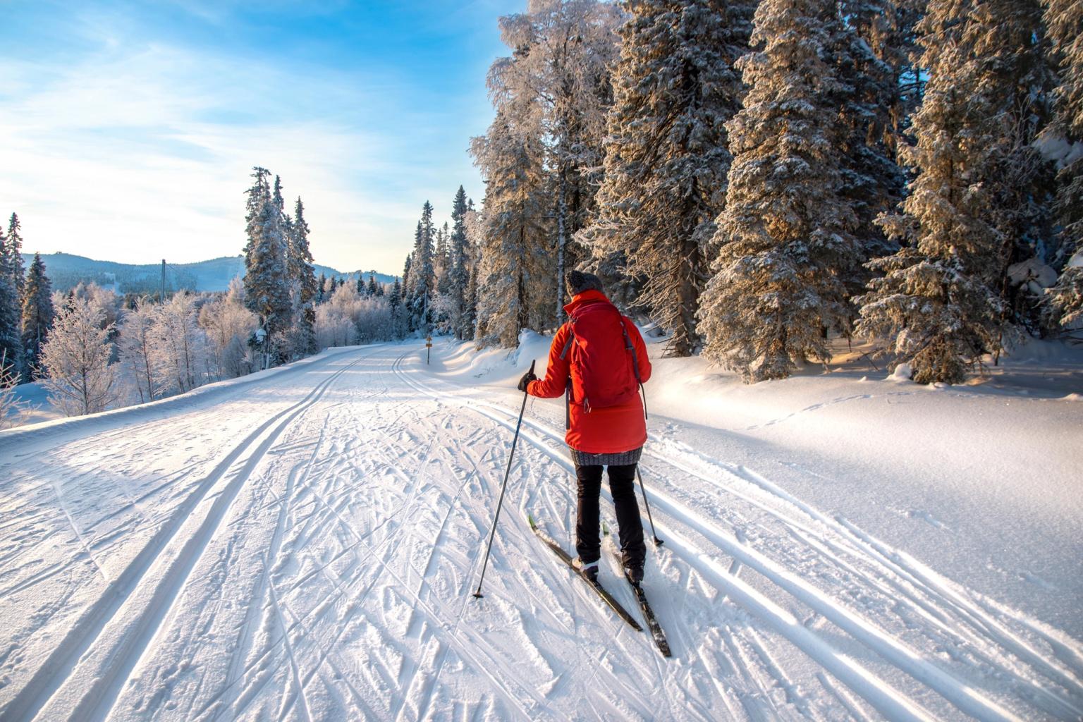 eine Person fährt Langlauf auf einem verschneiten Pfad im Wald