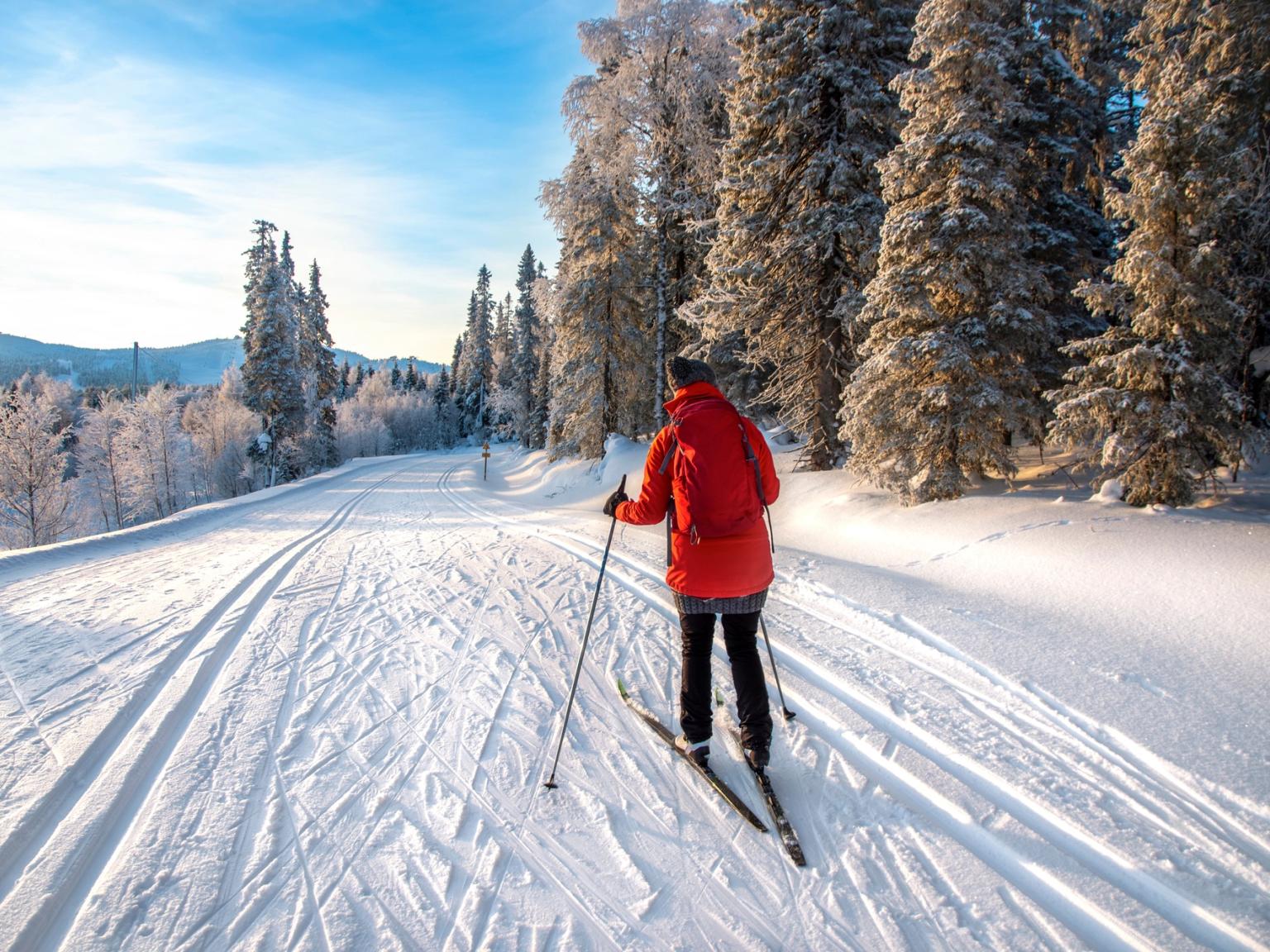 una persona está esquiando a campo traviesa en un sendero nevado en el bosque