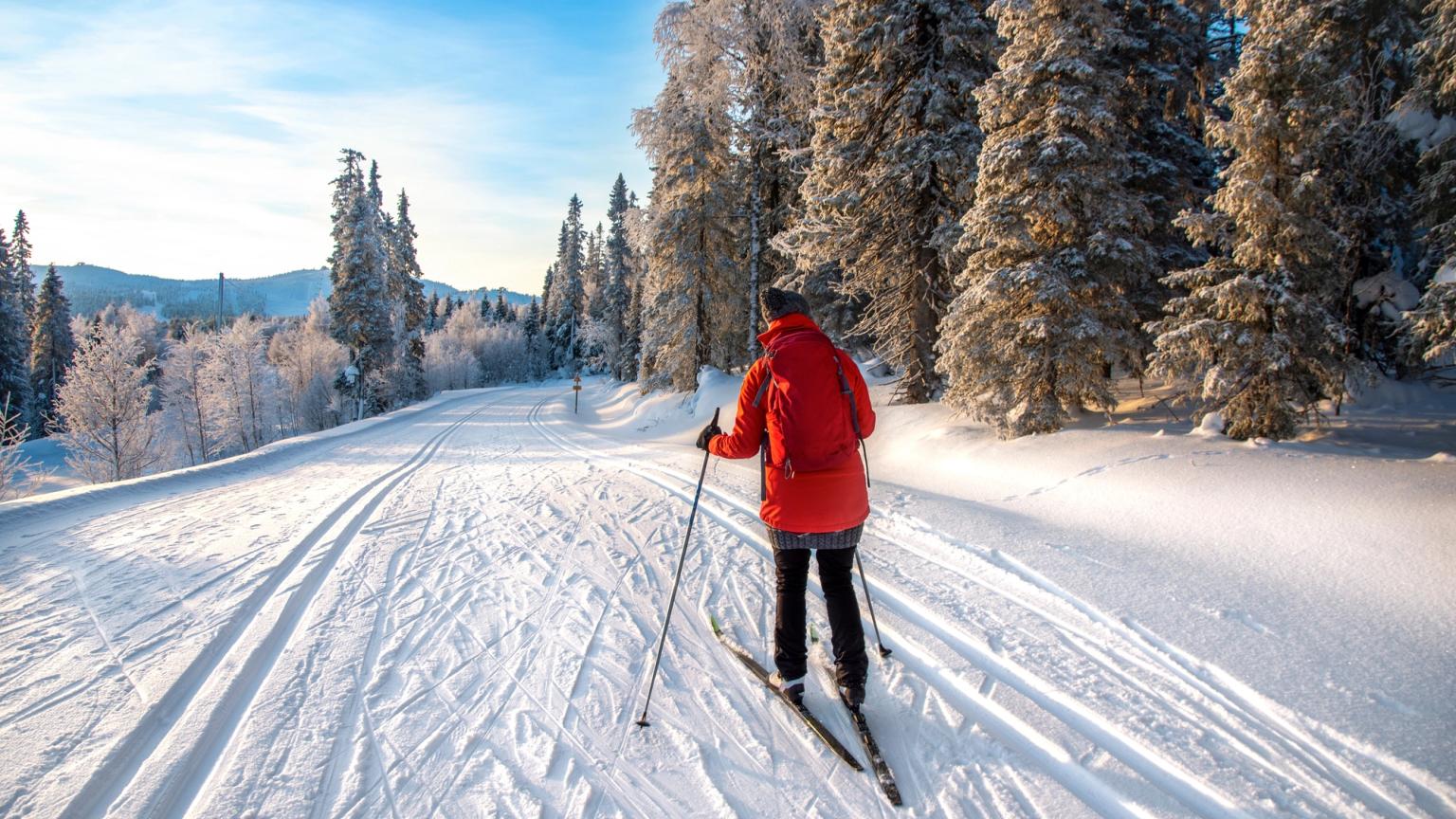 eine Person fährt Langlauf auf einem verschneiten Pfad im Wald