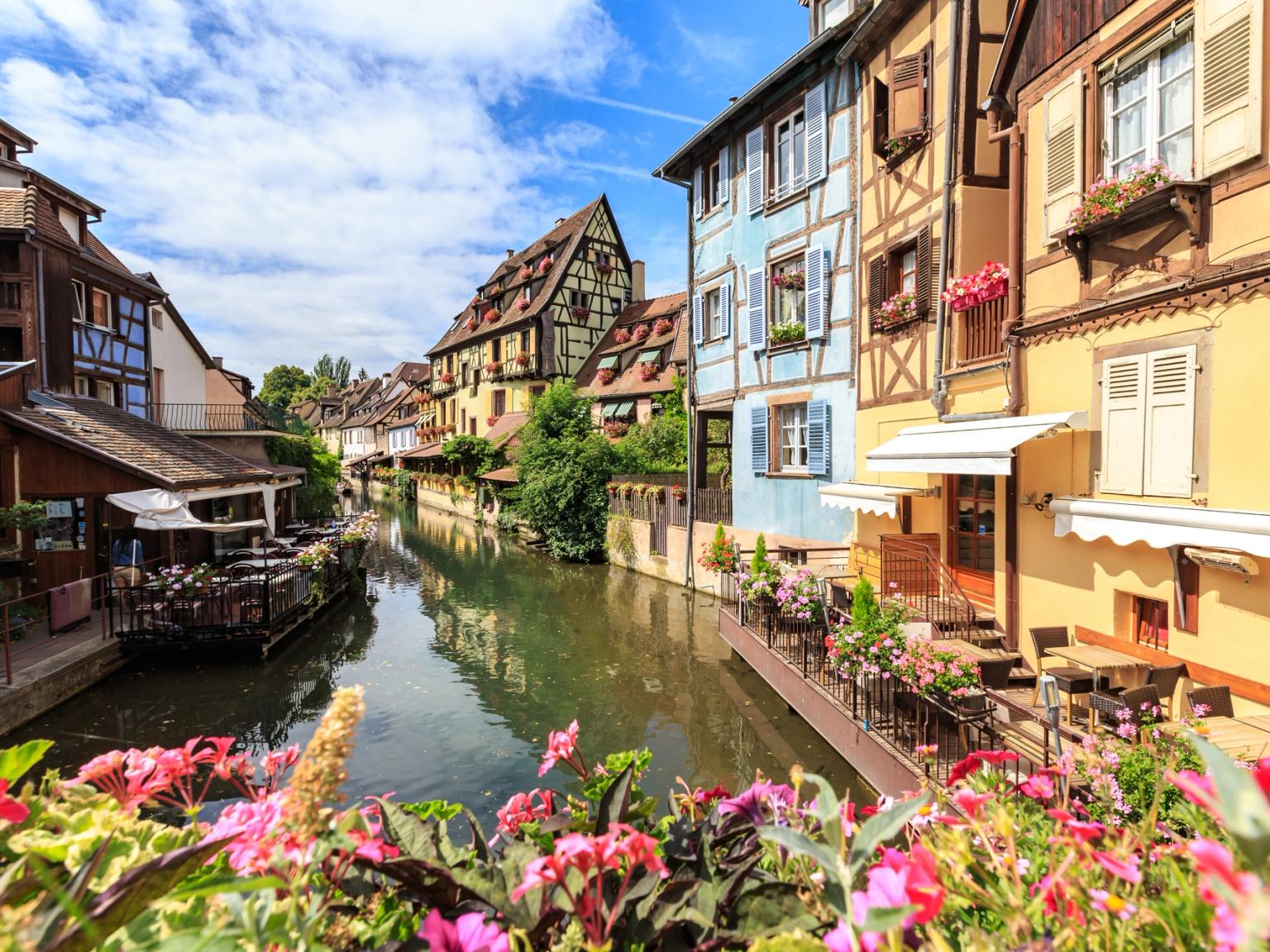 una fila de edificios junto a un río con flores en primer plano